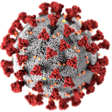 Covid - 19病毒透明